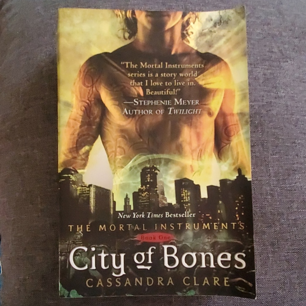 City of Bones/City of Ashes Books